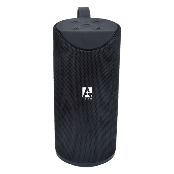 Plugin BS01 Bluetooth Speaker